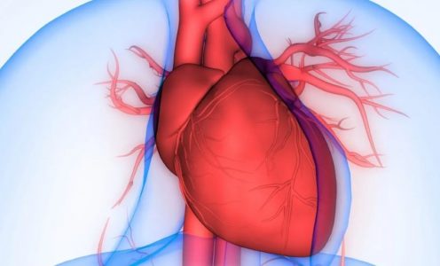 Insuficiência cardíaca: como reconhecer, prevenir e tratar